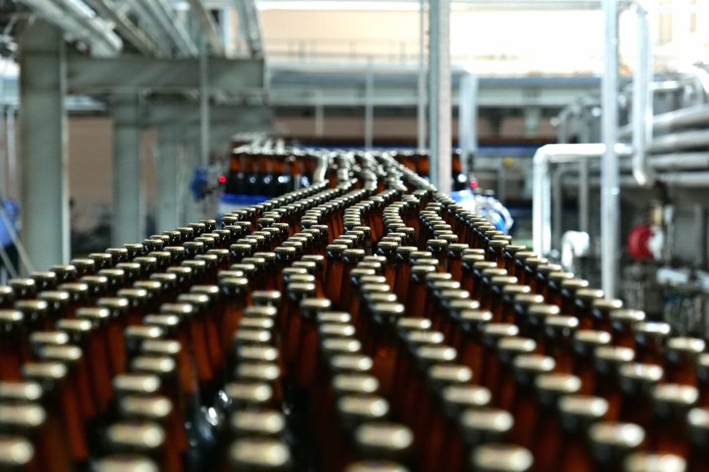 RAPIDcon-BC, bottles flowing along the line