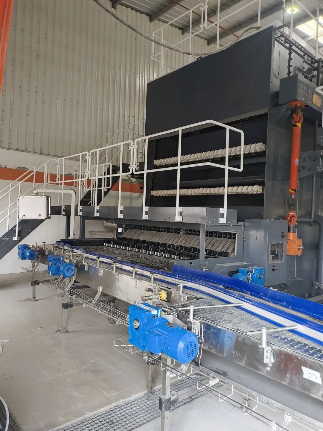 RAPIDwash Flaschenreinigungsmaschine, Auslauf mit sauberen Flaschen